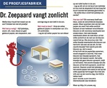 NRC 8 - Dr. Zeepaard vangt zonlicht